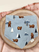 Brown Bears Bib